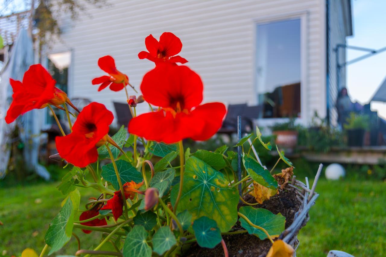 Strandheimen Guesthouse Melhus Buitenkant foto